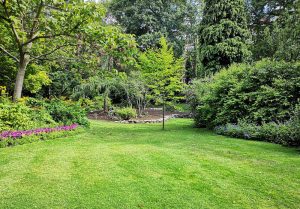 Optimiser l'expérience du jardin à Moydans