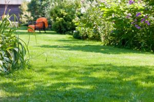 travaux jardin et paysage Moydans